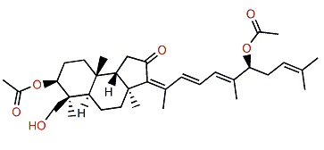 29-Hydroxystelliferin E